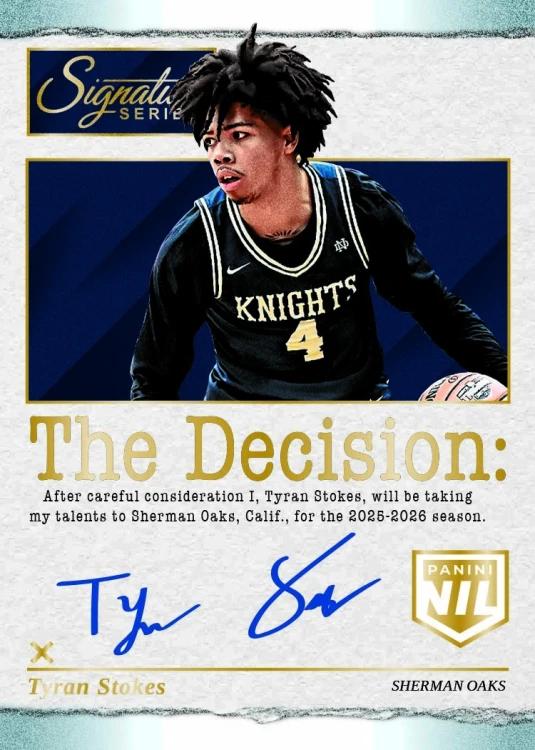 the_decision_stokes_copy.jpg